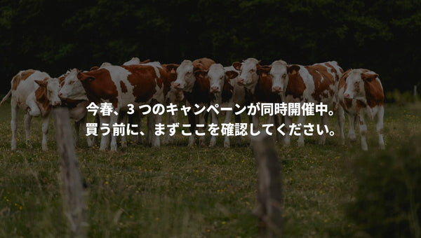 今春、3つのキャンペーンが同時開催中。買う前に、まずここを確認してください。