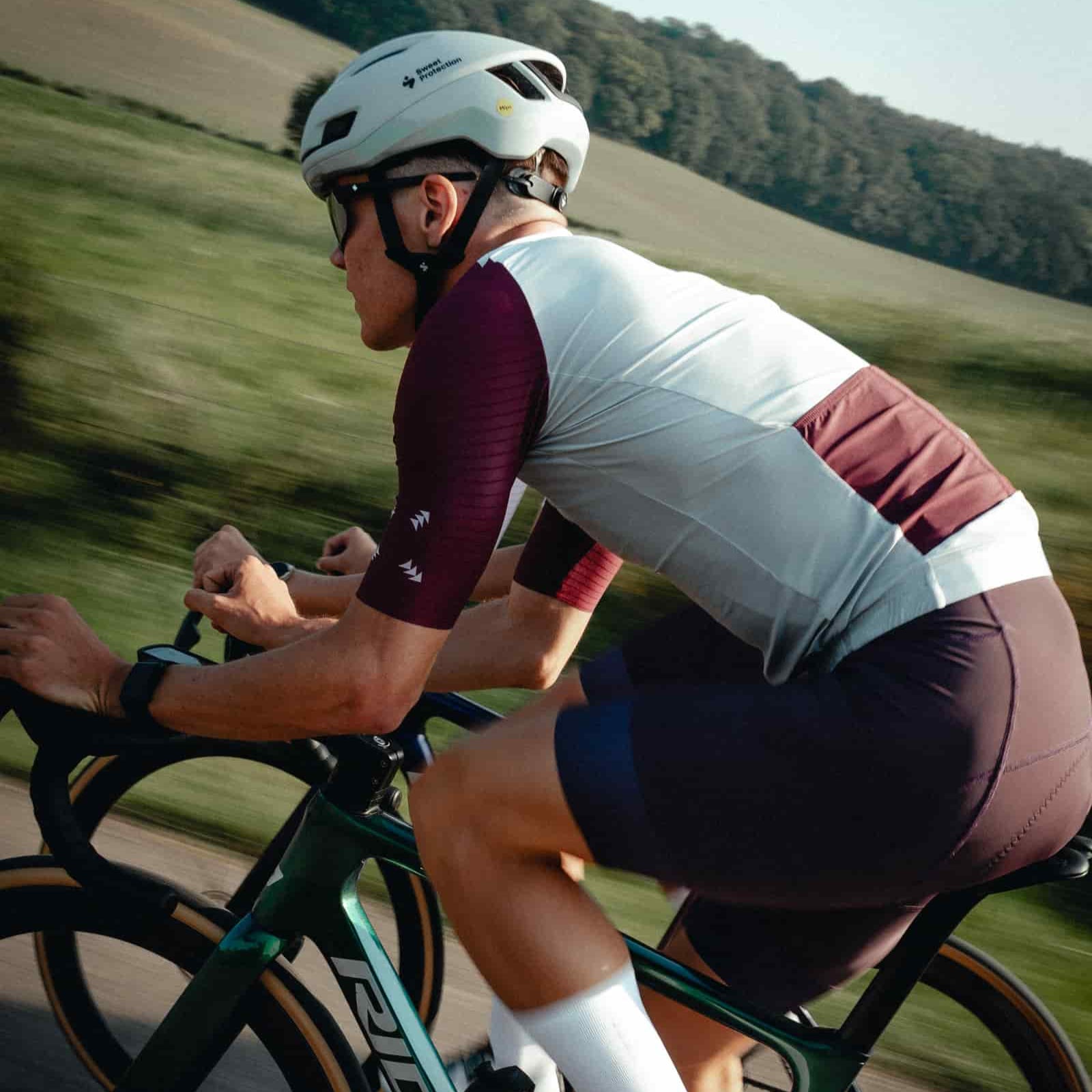 【受発注】Icon Bibshorts Mauve