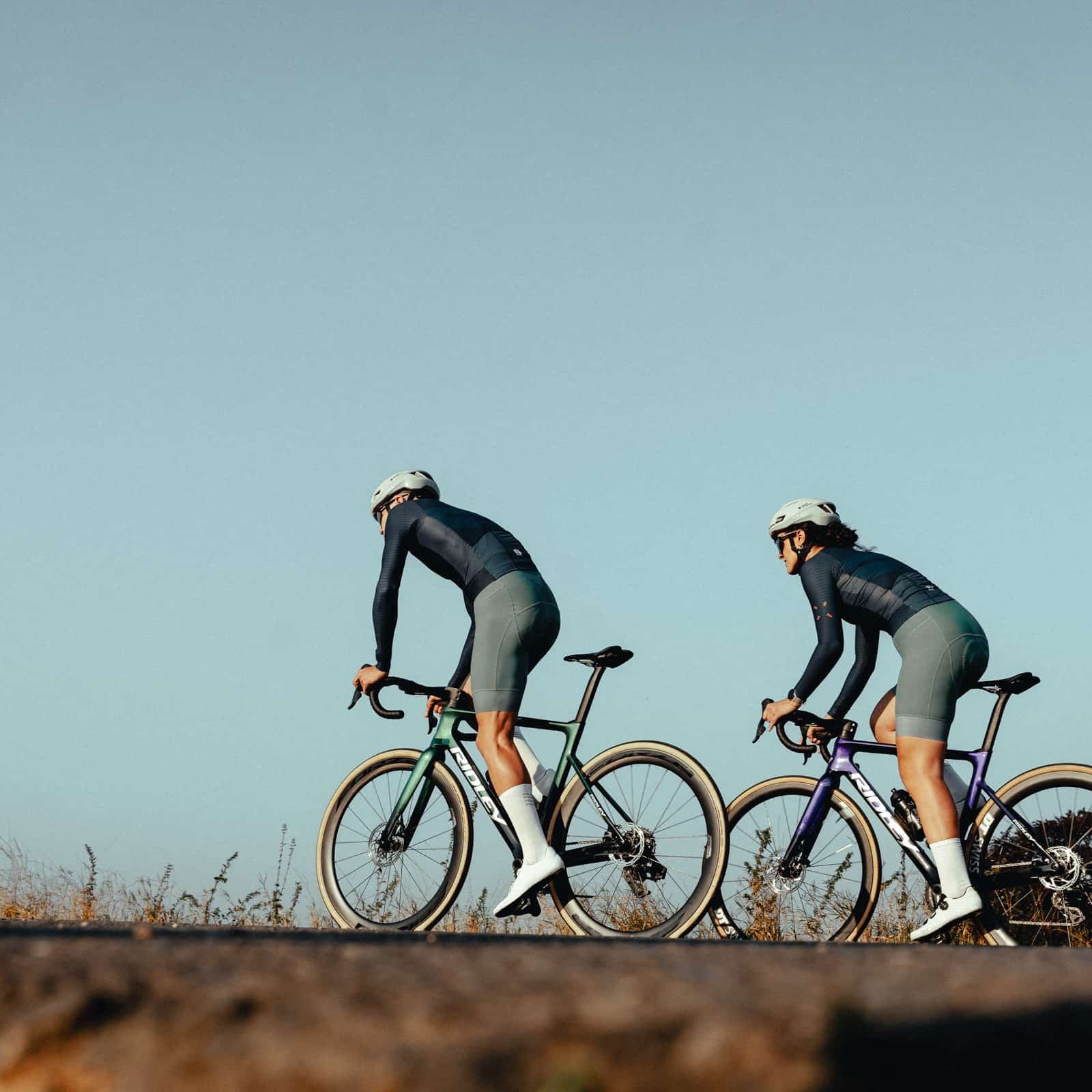 【受発注】Icon Bibshorts Ever Green