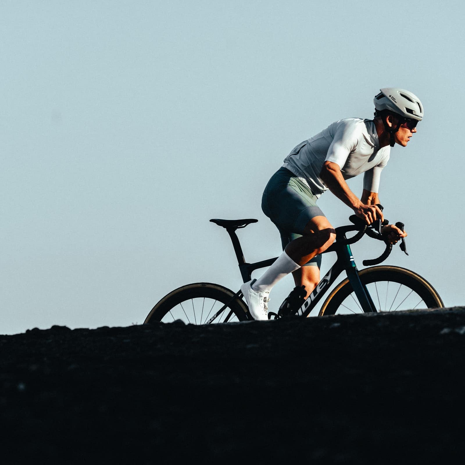 【受発注】Icon Bibshorts Ever Green