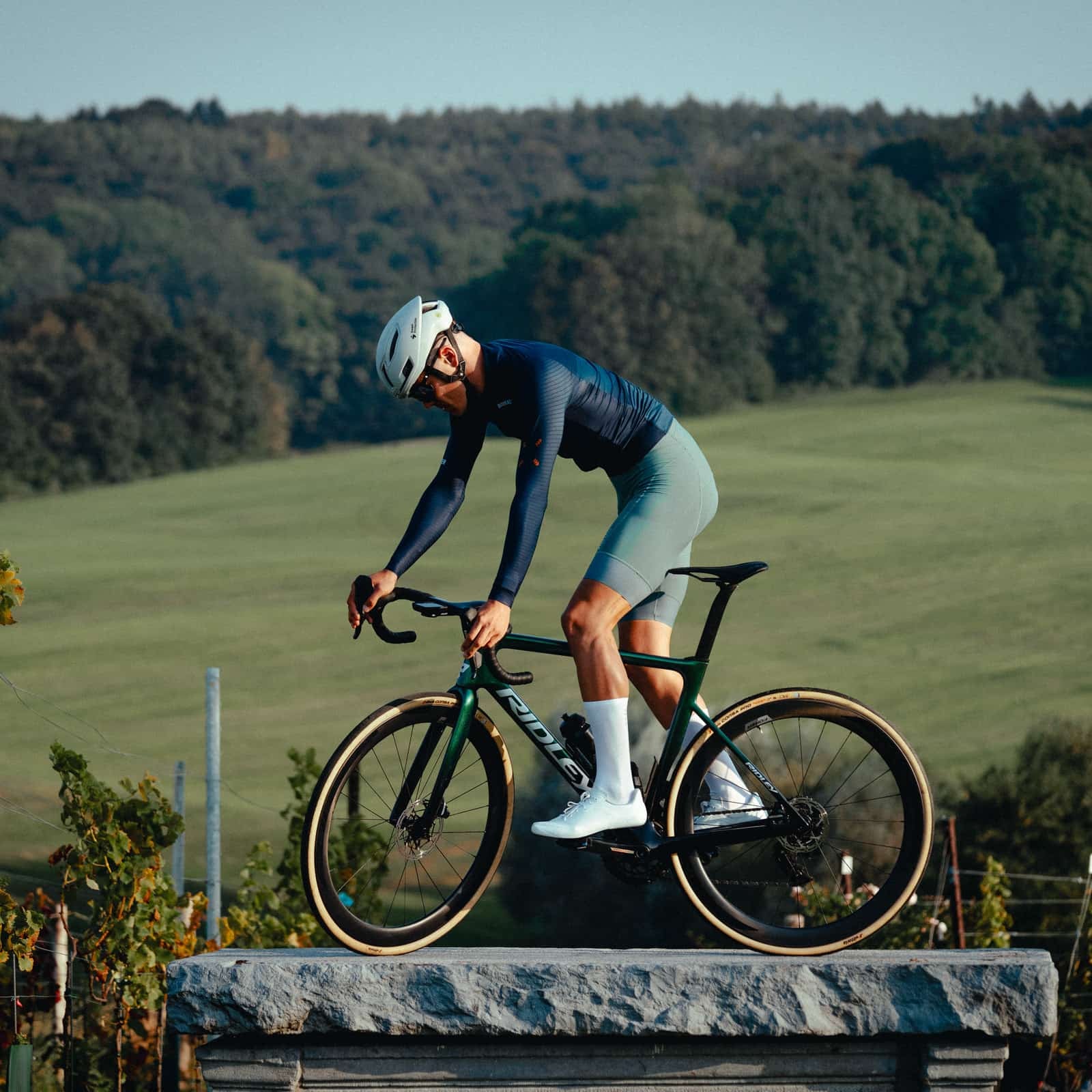 【受発注】Icon Bibshorts Ever Green